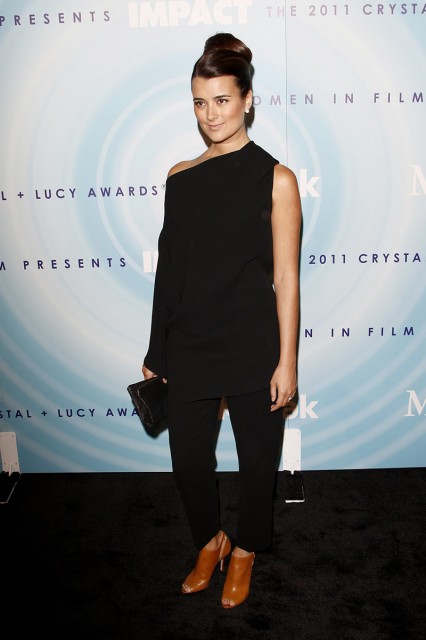 Cote De Pablo Fotoğrafı