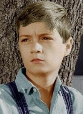 Phillip Alford fotoğrafı