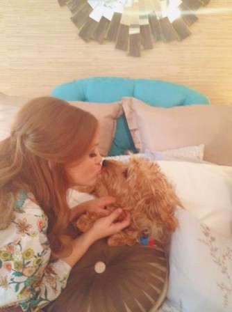 Holland Roden Fotoğrafı