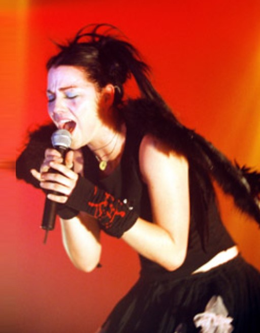 Evanescence Fotoğrafı