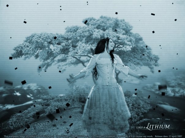 Evanescence Fotoğrafı