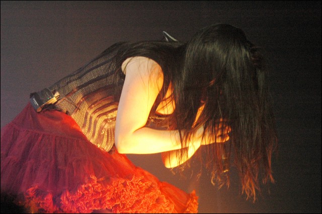 Evanescence Fotoğrafı