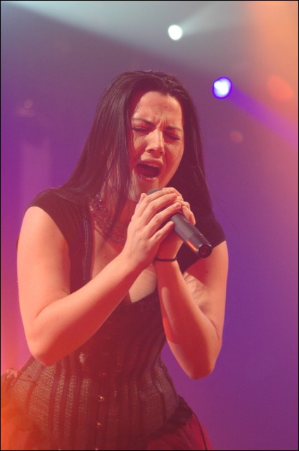 Evanescence Fotoğrafı