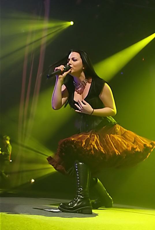 Evanescence Fotoğrafı