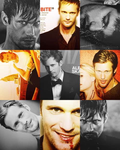 Alexander Skarsgård fotoğrafı