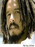 Rohan Marley fotoğrafı