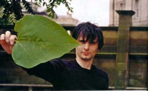 Matthew Bellamy Fotoğrafı