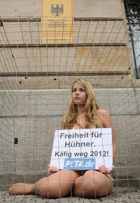 Katie Pfleghar fotoğrafı