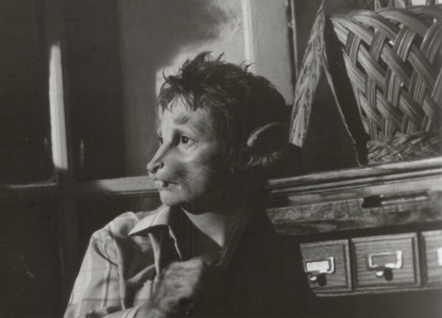 Sharon Baird Fotoğrafı