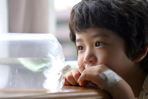 Kang Soo Han Fotoğrafı