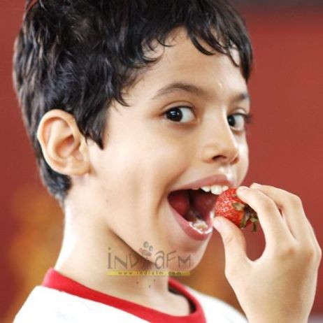Darsheel Safary Fotoğrafı