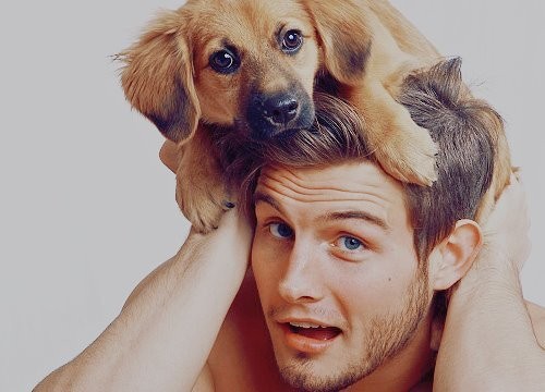Nico Tortorella Fotoğrafı