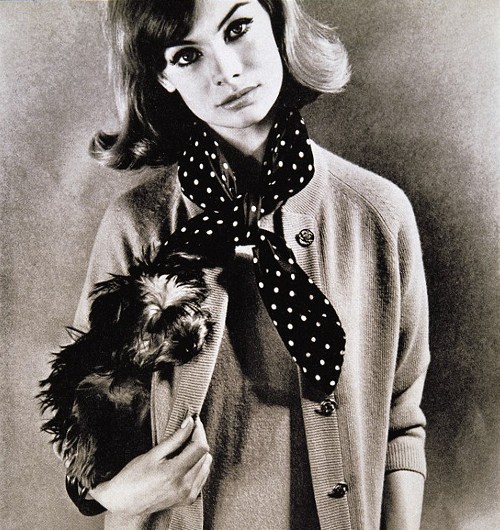 Jean Shrimpton Fotoğrafı