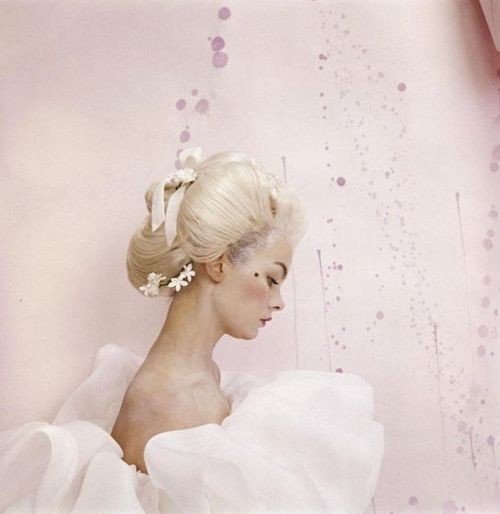 Jean Shrimpton Fotoğrafı