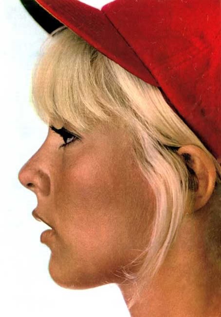 Sylvie Vartan Fotoğrafı