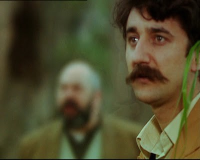 Necip Memili Fotoğrafı