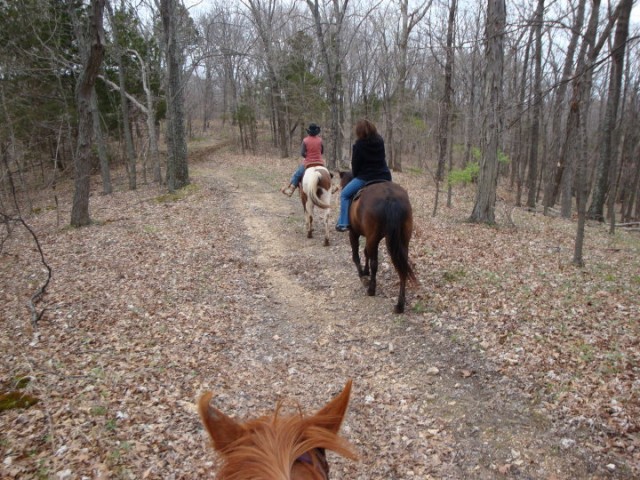 Selena Johnson Fotoğrafı