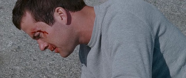 Lucas Black Fotoğrafı