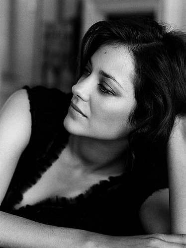 Marion Cotillard Fotoğrafı