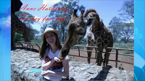 Anne Hathaway Fotoğrafı