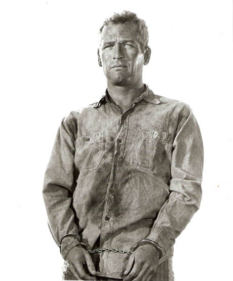 Paul Newman Fotoğrafı