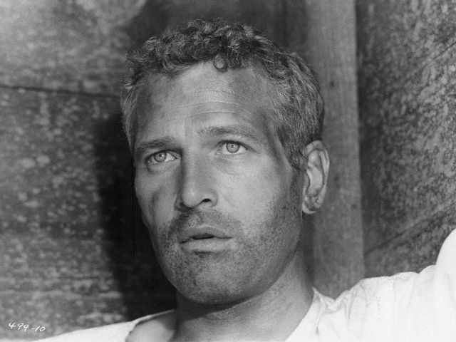 Paul Newman Fotoğrafı