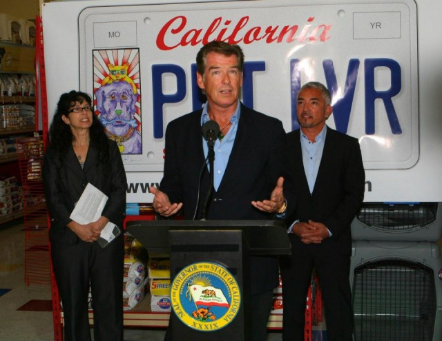 Pierce Brosnan Fotoğrafı