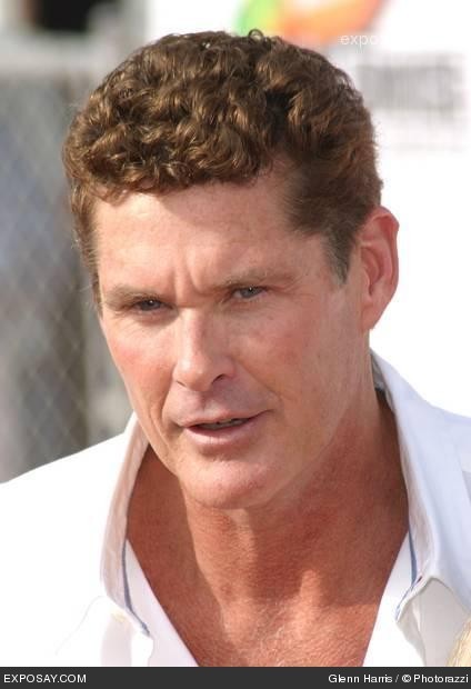 David Hasselhoff fotoğrafı