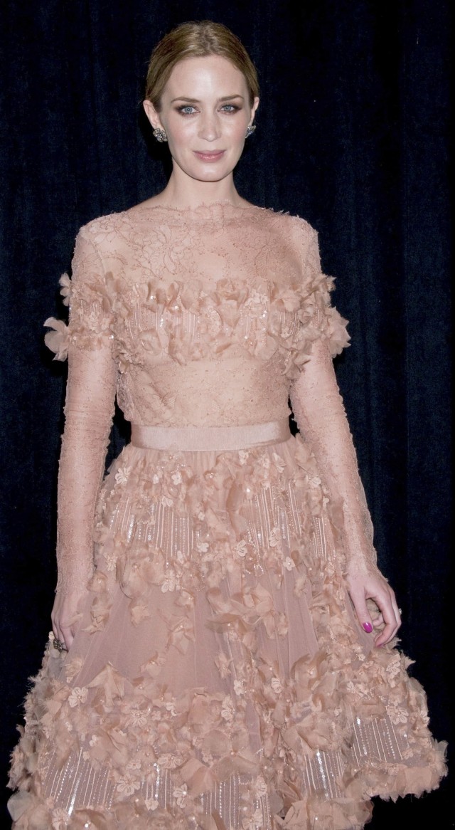 Emily Blunt Fotoğrafı