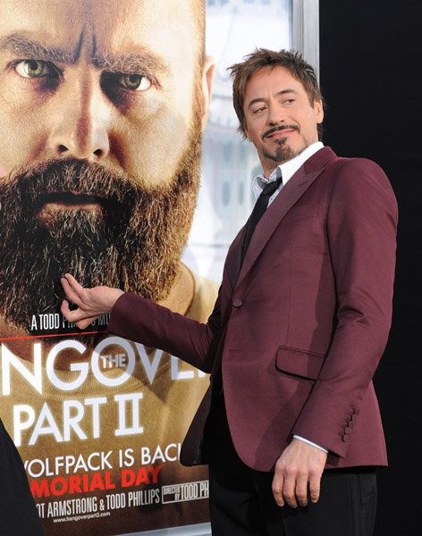 Robert Downey Jr. Fotoğrafı