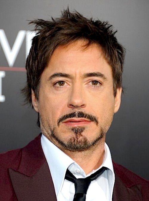 Robert Downey Jr. Fotoğrafı