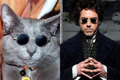 Robert Downey Jr. Fotoğrafı