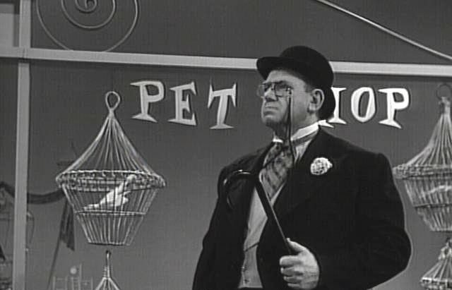 Roy Williams Fotoğrafı