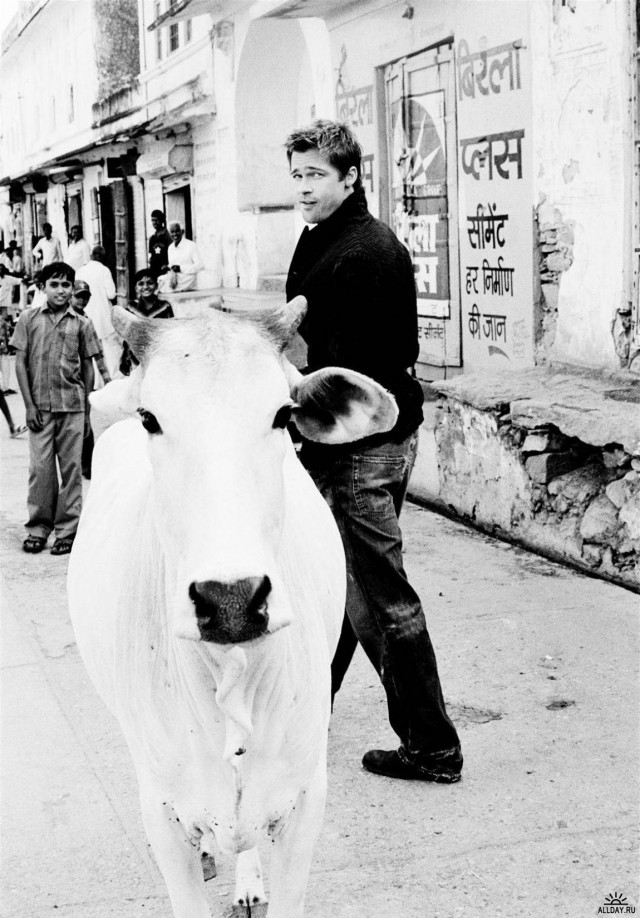 Brad Pitt Fotoğrafı