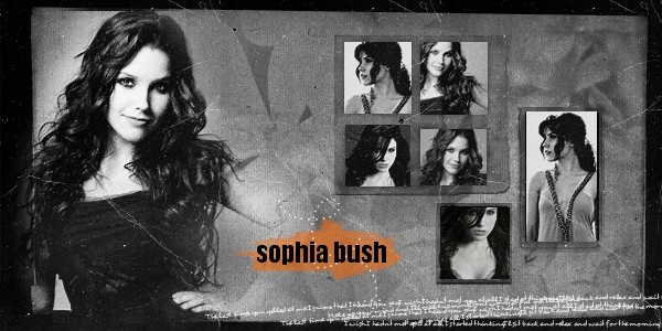 Sophia Bush Fotoğrafı
