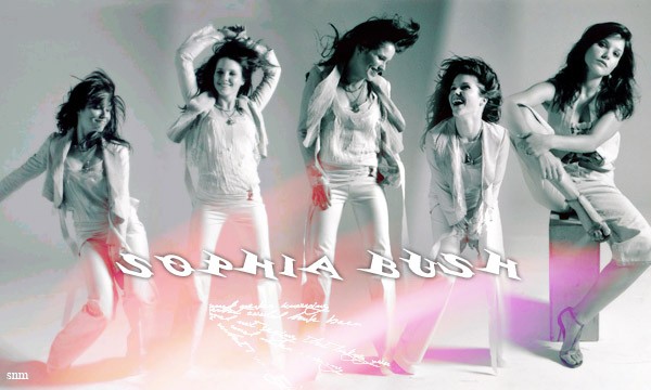 Sophia Bush Fotoğrafı