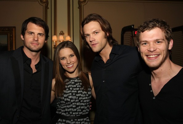 Sophia Bush Fotoğrafı