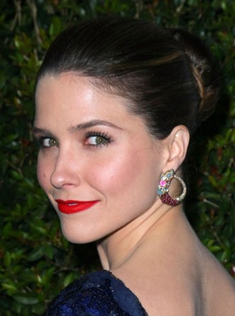 Sophia Bush Fotoğrafı