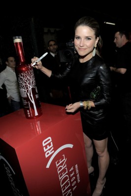 Sophia Bush Fotoğrafı