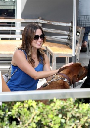 Sophia Bush Fotoğrafı