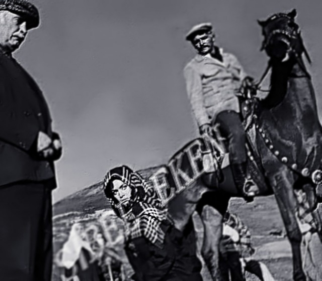 Türkan Şoray Fotoğrafı