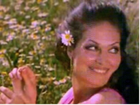 Türkan Şoray Fotoğrafı