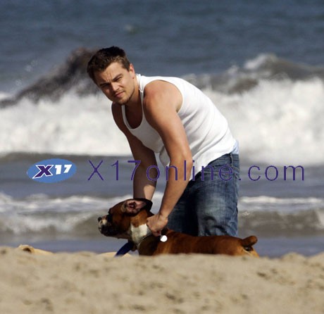 Leonardo DiCaprio Fotoğrafı