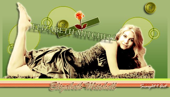 Elizabeth Mitchell Fotoğrafı