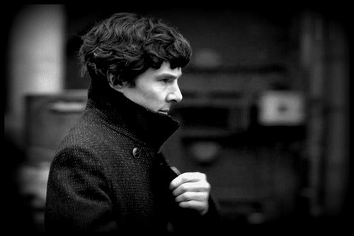 Martin Freeman Fotoğrafı