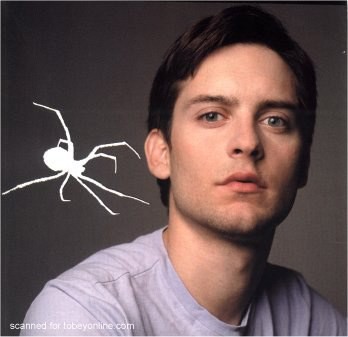 Tobey Maguire Fotoğrafı