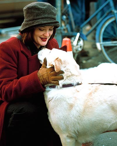 Drew Barrymore Fotoğrafı