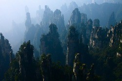 Olivia Wilde Fotoğrafı