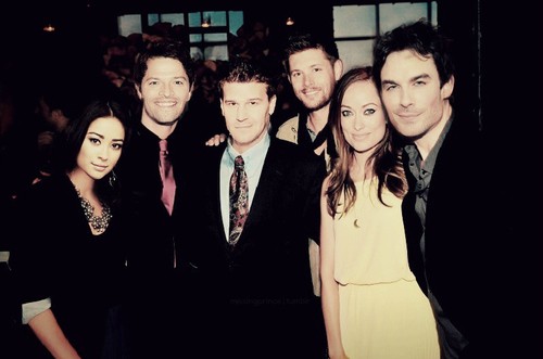 Olivia Wilde Fotoğrafı