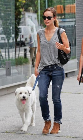 Olivia Wilde Fotoğrafı